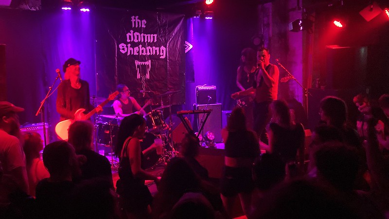 The Damn Shebang + Francis Pig + the Kitchen Lover en concert